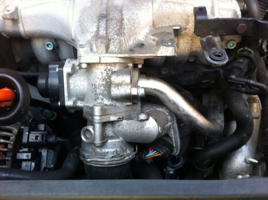 Help! Need a how to guide on removing EGR on a 2.0 TDI 170 mk5 Golf